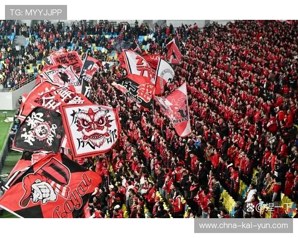 从全国球迷羡慕凤凰山到全国球迷不待见，这中间经历了什么？，凤凰山专业足球场效果图