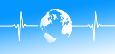 开云体育app下载-体教融合背景下的体育课程综合改革路径，体教融合背景下高校体育